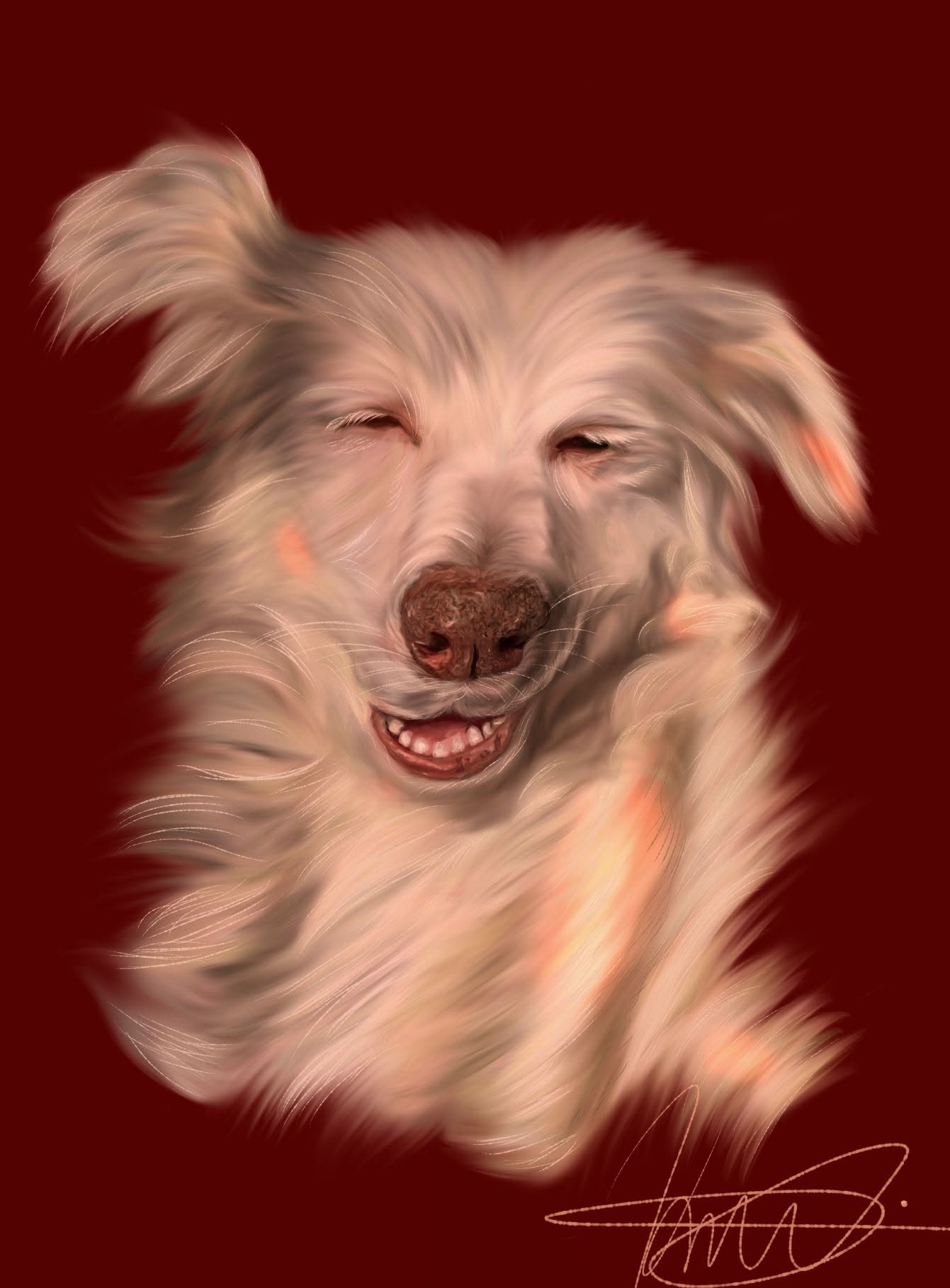 Digital portrait of a happy fluffy white dog against a dark red background